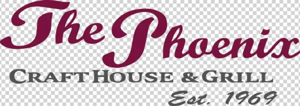 The Phoenix Vector Reg Copy - Poster