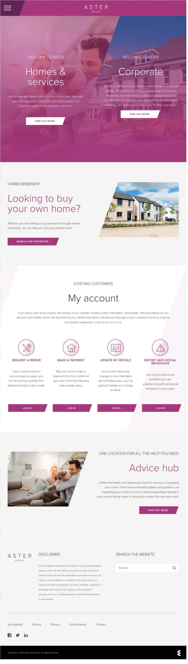 Website History - Flyer