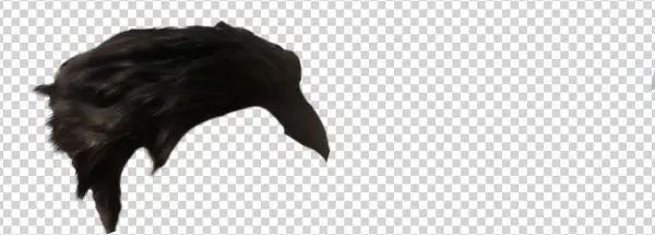 7) Hair Png (optional ) - Bat