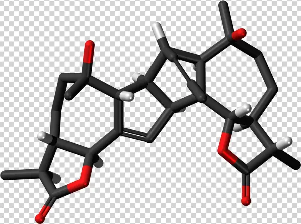 Absinthin 3d Skeletal Sticks