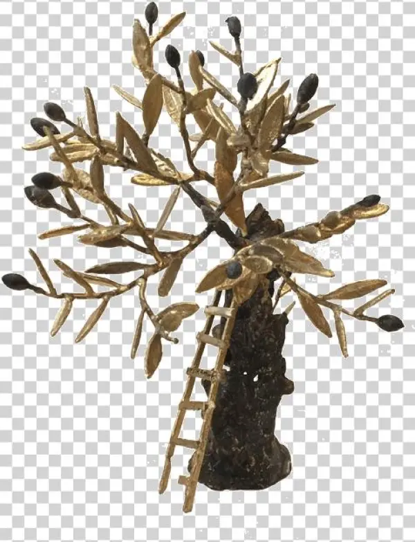 Bronze Olive Tree - Pine Family