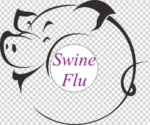 Causes Of Swine Flu - Pig