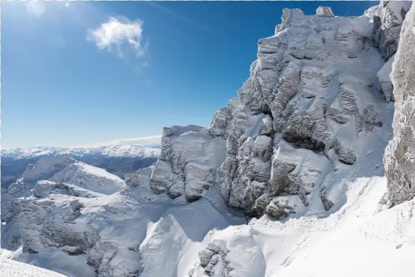 Contact Sheet - Snow