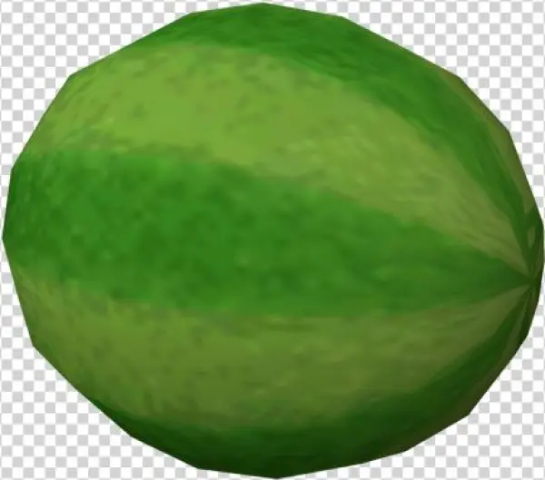 Download Zip Archive - Kaffir Lime