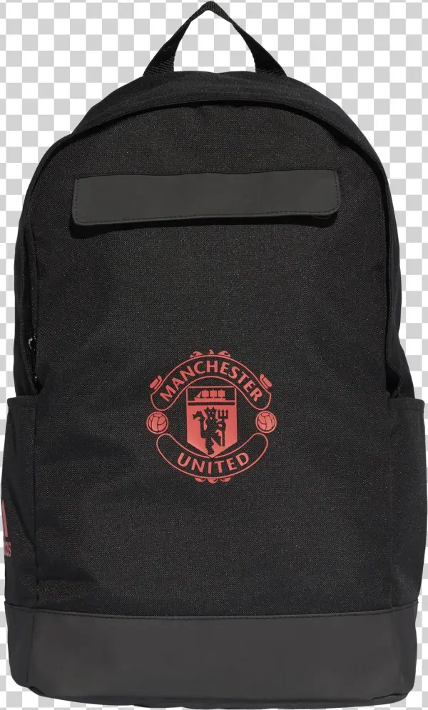 Login Into Your Account