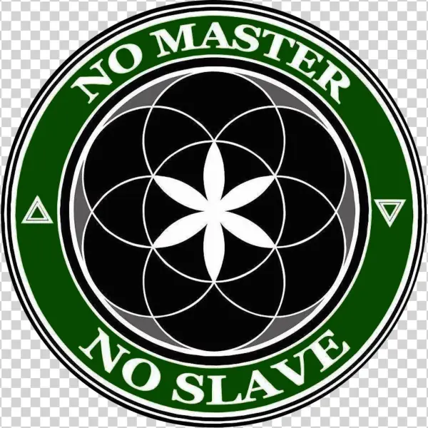 Nmns-logo - ล้อ Excel ได ร์