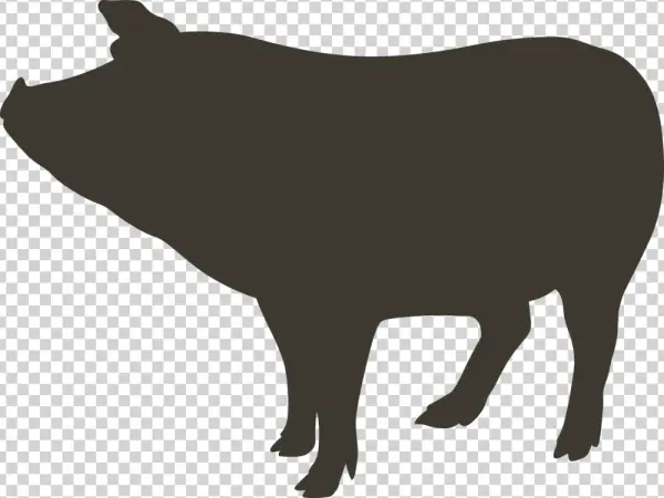 Pig - Cattle