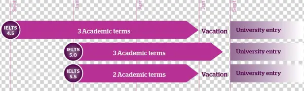 Sample Pathways For The International Business Foundation - Colorfulness