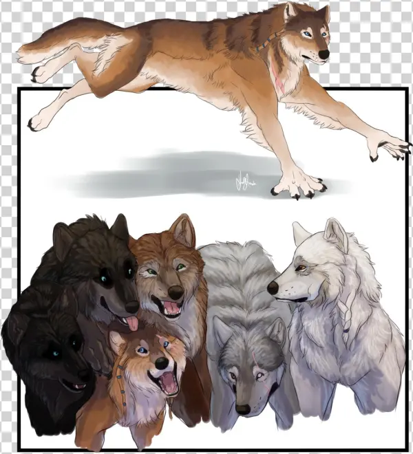 Teen Wolf Season 6 Concept - Wolfdog