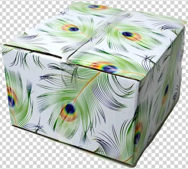 6x6x4 Peacock Designer Boxes - Insect