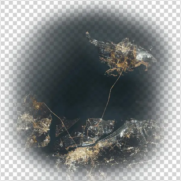 Audio - Macro Photography