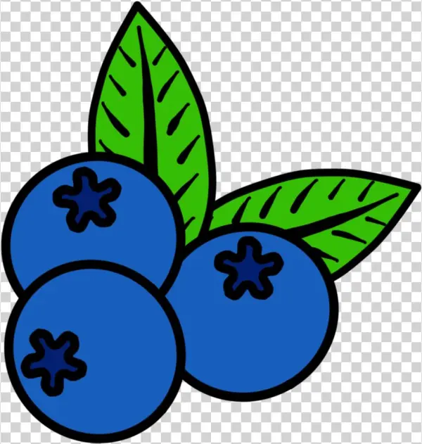 Blueberrylogo