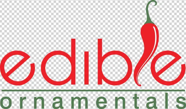 Cooking With Chillies Made Simple For Two People Edible