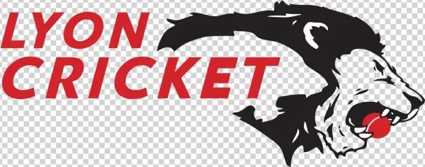 Cricket Batsman Vector - Illustration