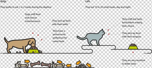 Diana Pet Food - Cartoon