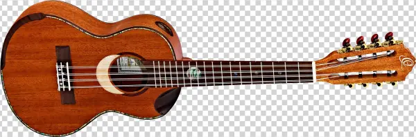 Eclipse-te8 - Luna Gypsy Parlour Guitar