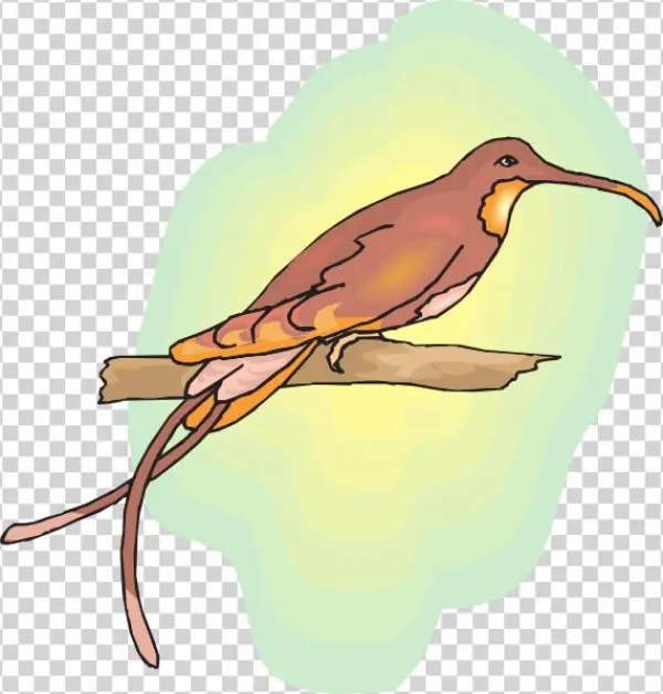 How To Set Use Brown Hummingbird Perched Svg Vector