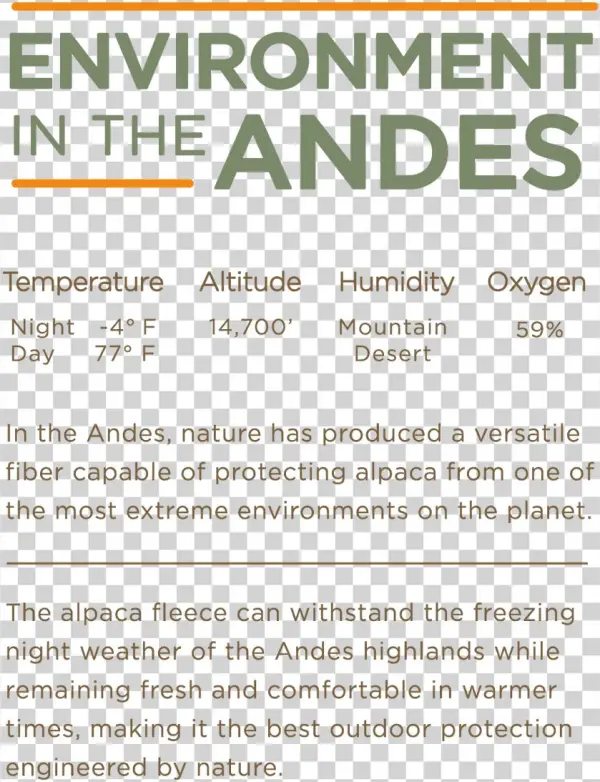 Once You Go Alpaca, - Poster