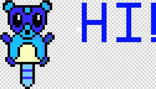 Racoon - Graphic Design