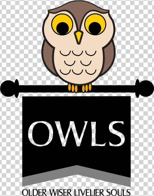 A Group Of Owls - Cartoon