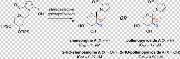 Artic Wilderness Backcountry - Darkness