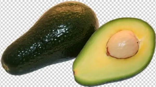 Avocado