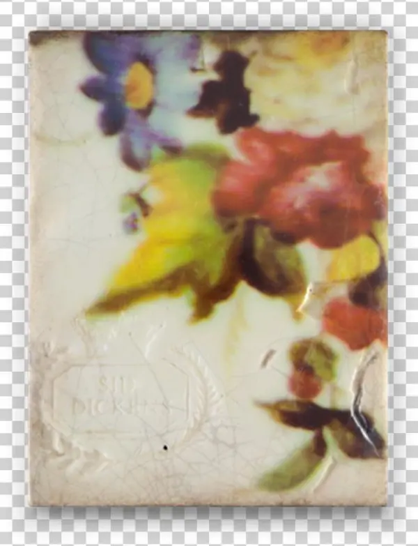 Awakening - Silk Road - Fall Collection - Sid Dickens