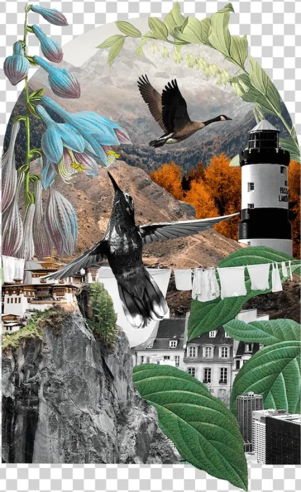 Benefit-collage - Website