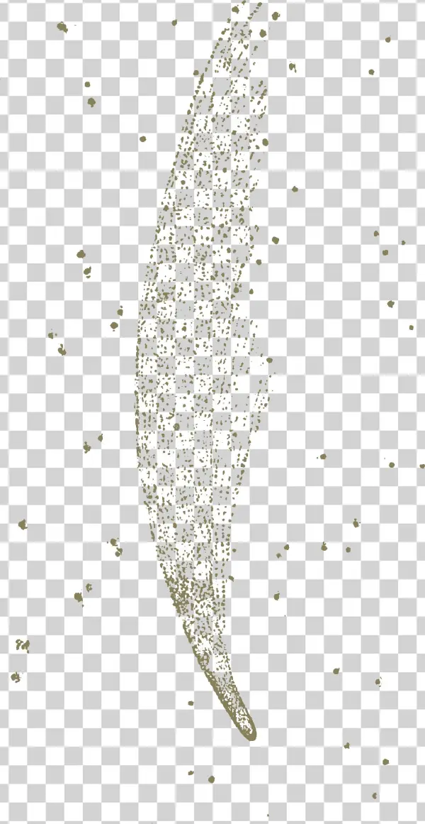 Carroll Phantasmagoria Donati Comet - Illustration