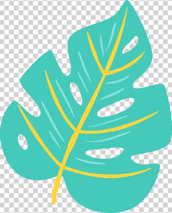 Collection Of Png High Quality Free