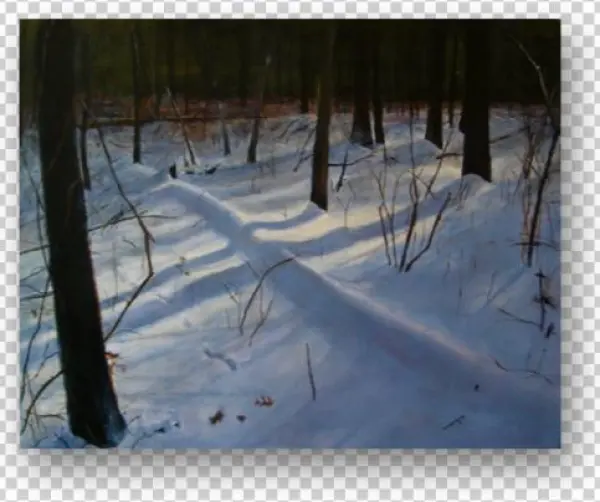 Fallen - 16"x20" - - Snow