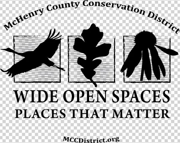 Final Sticker-png - Illustration