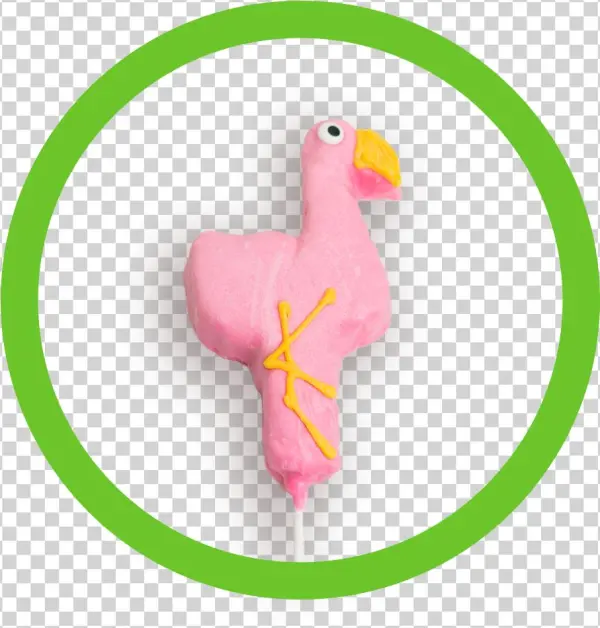 Flamingo Crispy Circle