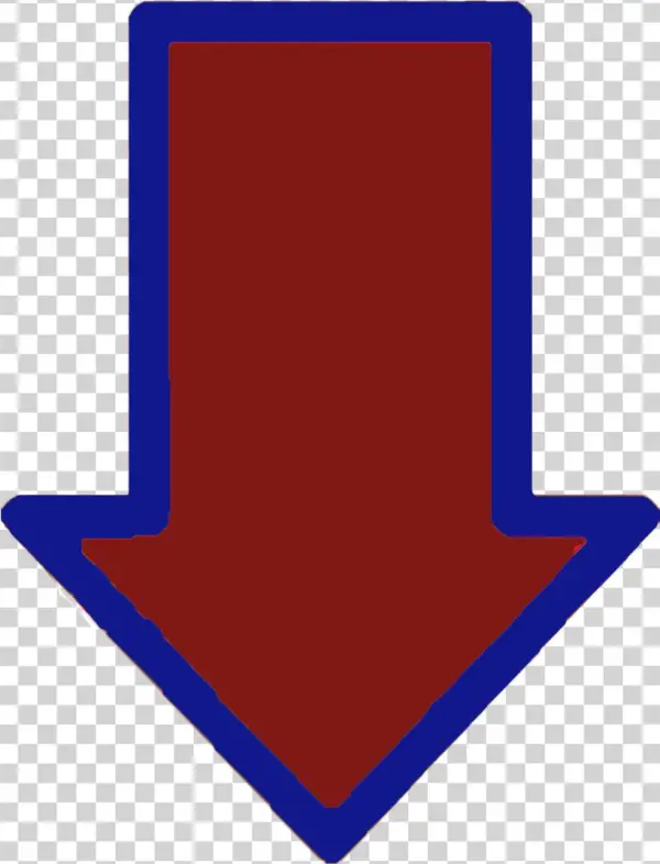 Flecha - Denovo Fda 510k