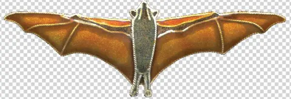 Fruit Bat Pin