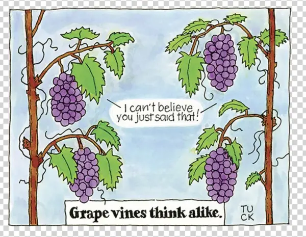 Grape Vines