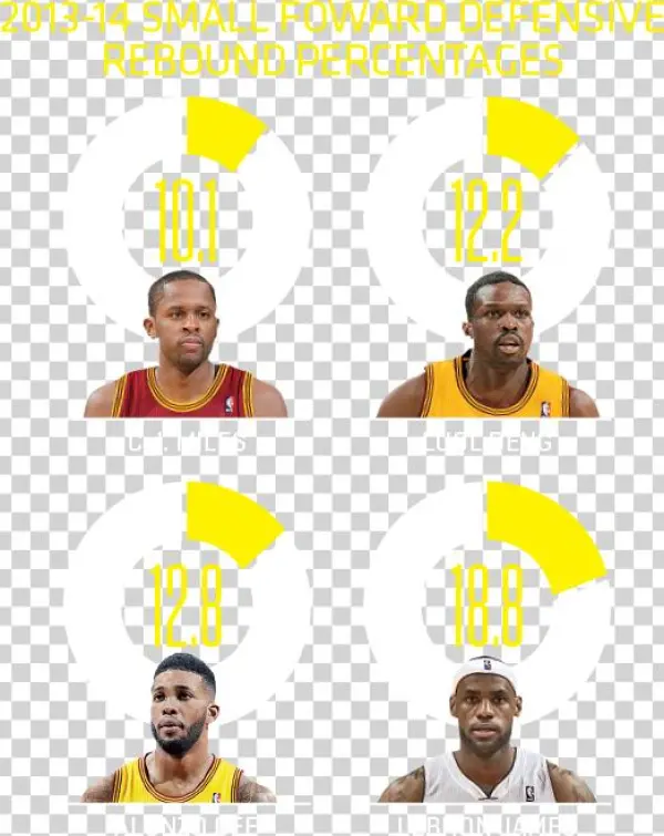 How Will Lebron James Fit In Cleveland - Poster