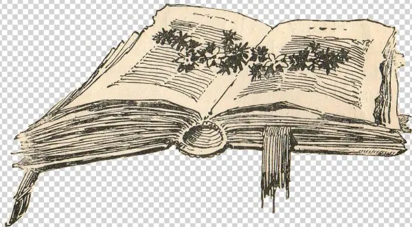 Leaping Frog Designs - Sketch