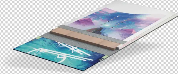 Nose Tail - Crosscut