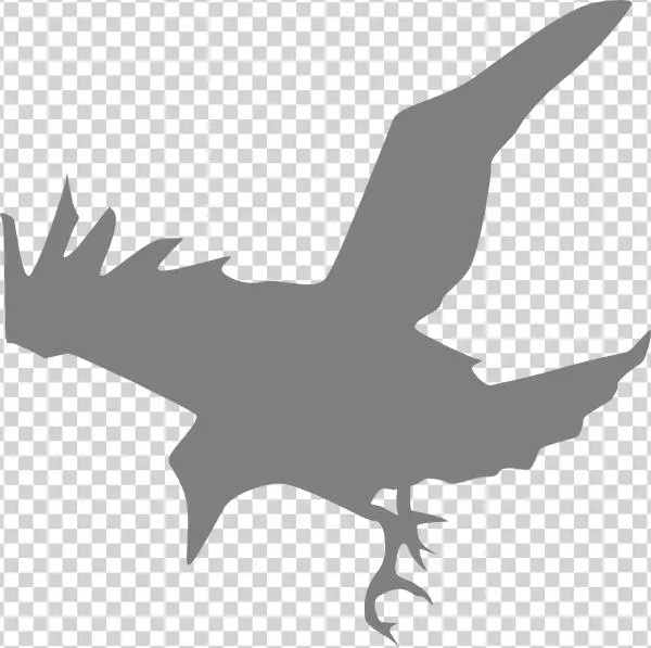 Raven Svg Clip Arts 600 X 597 Px