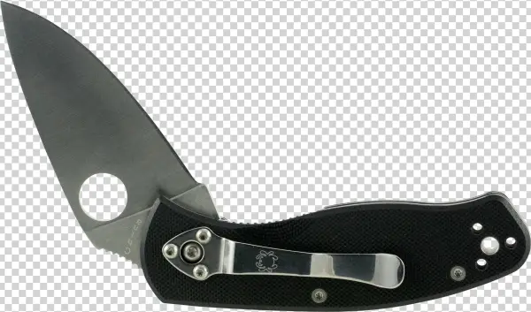 Spyderco C136gp Persistance G-10 Black Plain - Utility Knife
