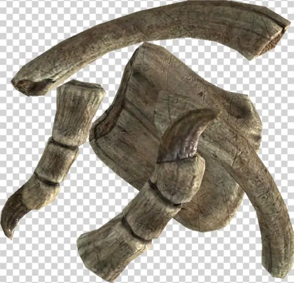 Tesv Dragon Bone - Драконья Кость