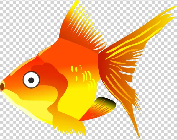 This Free Icons Png Design Of Cartoon Goldfish