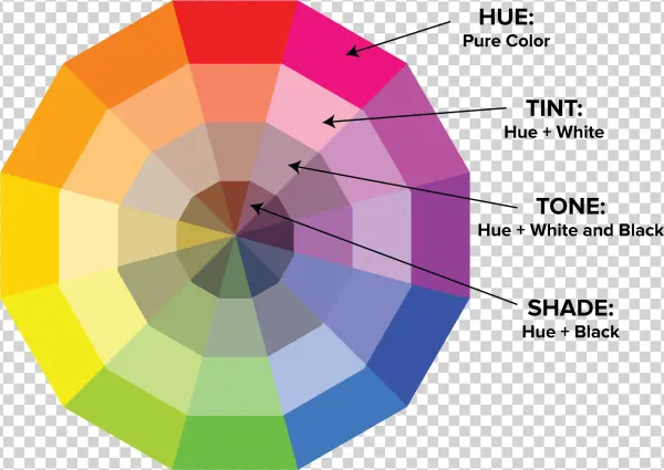 Types Of Colors