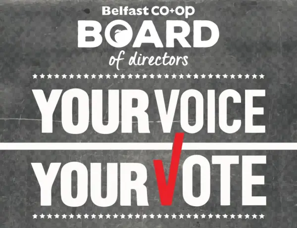 Vote Website Small 2018 01 - Vote Yes For Libraries: A Guide To Winning Ballot Measure