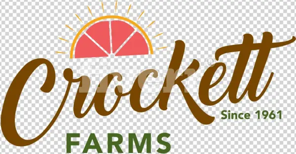 World Of Art - Broché