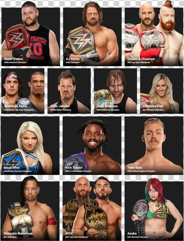 Wwe Discussion Is Ready 2 Rumble For 1/23/17 - Alexa Bliss Signed Autographed 11x14 Photo Wwe Diva