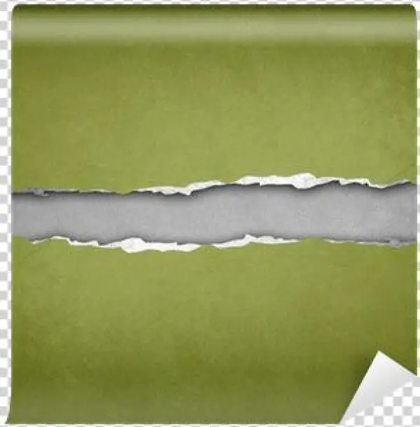 Zwischen Aufsicht Und Fürsorge: Die Geschichte Der