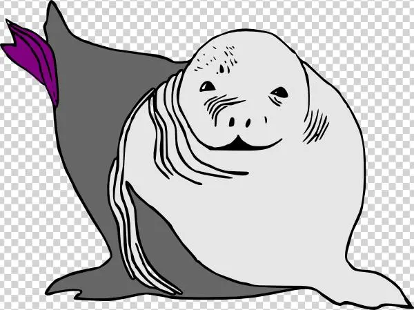 Baby Seal Baby Sea Lion Svg Clip Arts 600 X 449 Px