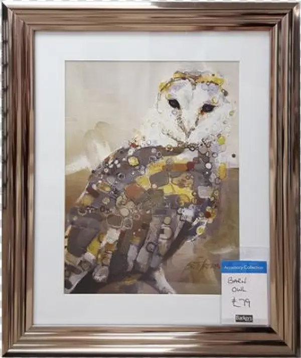 Barn Owl Barn Owl - 'luminous Barn 2' Poster Print By Britt Freda, Posters,